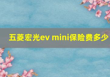 五菱宏光ev mini保险费多少